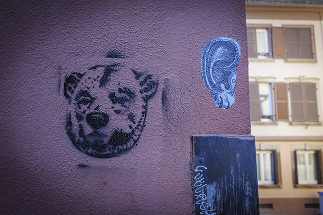 photo du mardi - strasbourg