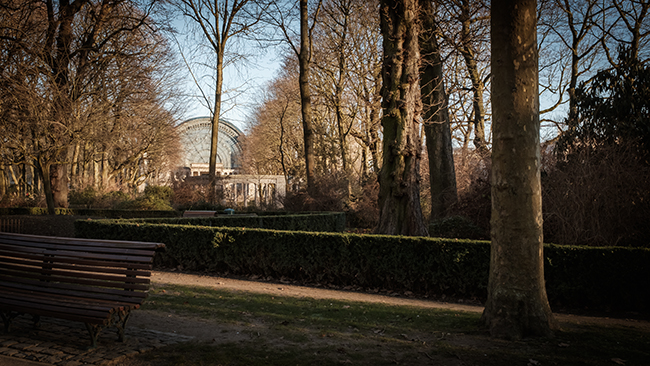 photo du mercredi - bruxelles