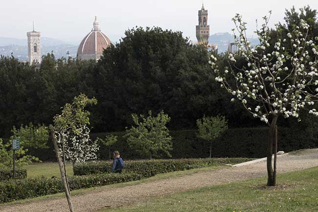Florence et San Gimignano